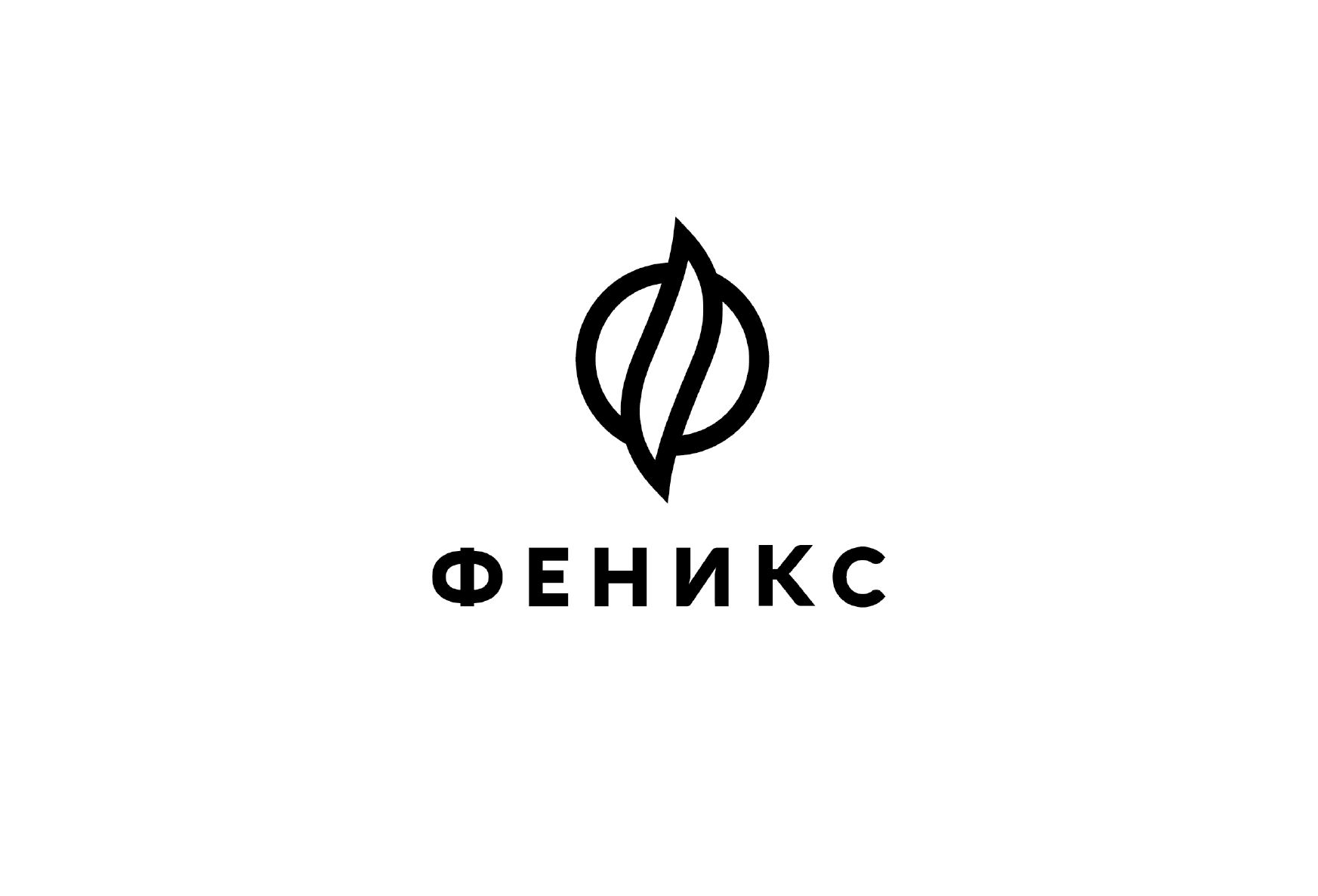 Завод Феникс